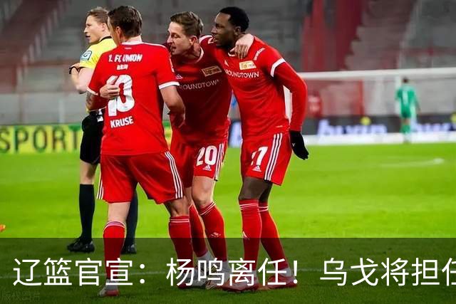 辽篮官宣：杨鸣离任！乌戈将担任辽宁男篮主帅